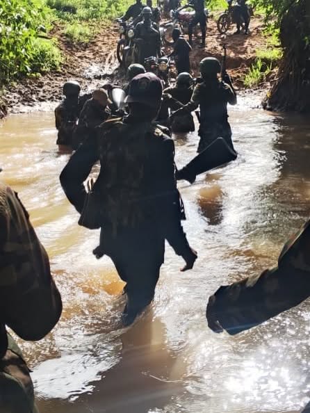 NAM3