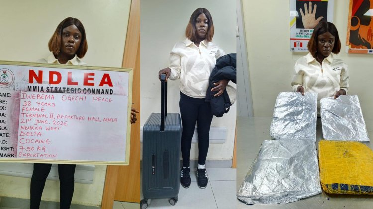 NDLEA OGECHI
