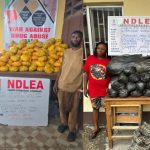 NDLEA WAR ON DRU NDLEA WAR ON DRU