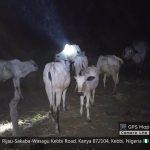 TROOPS OF OPERATION FANSAN YAMMA RESCUE KIDNAPPED VICTIM, RECOVER 18 RUSTLED CATTLE, ARREST FOUR SUSPECTED DRUG PEDDLERS IN KEBBI STATE